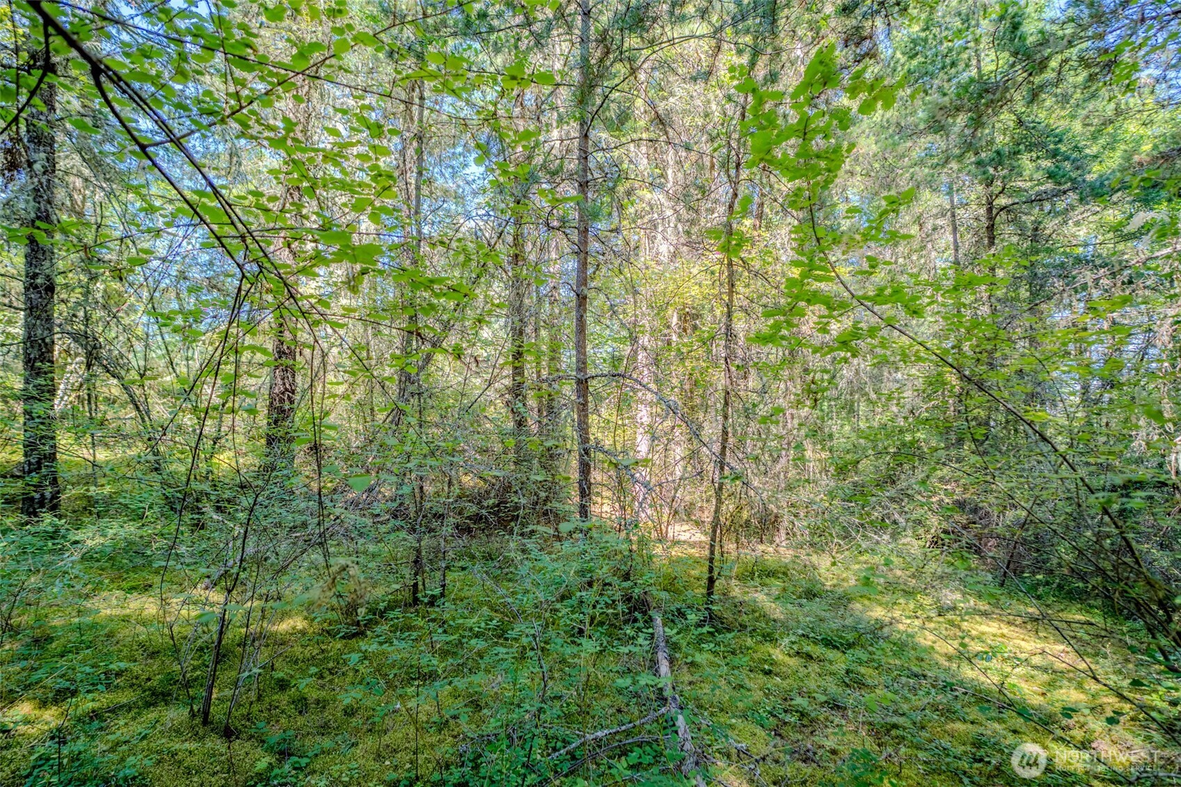 678 Swan Road Property Photo 22