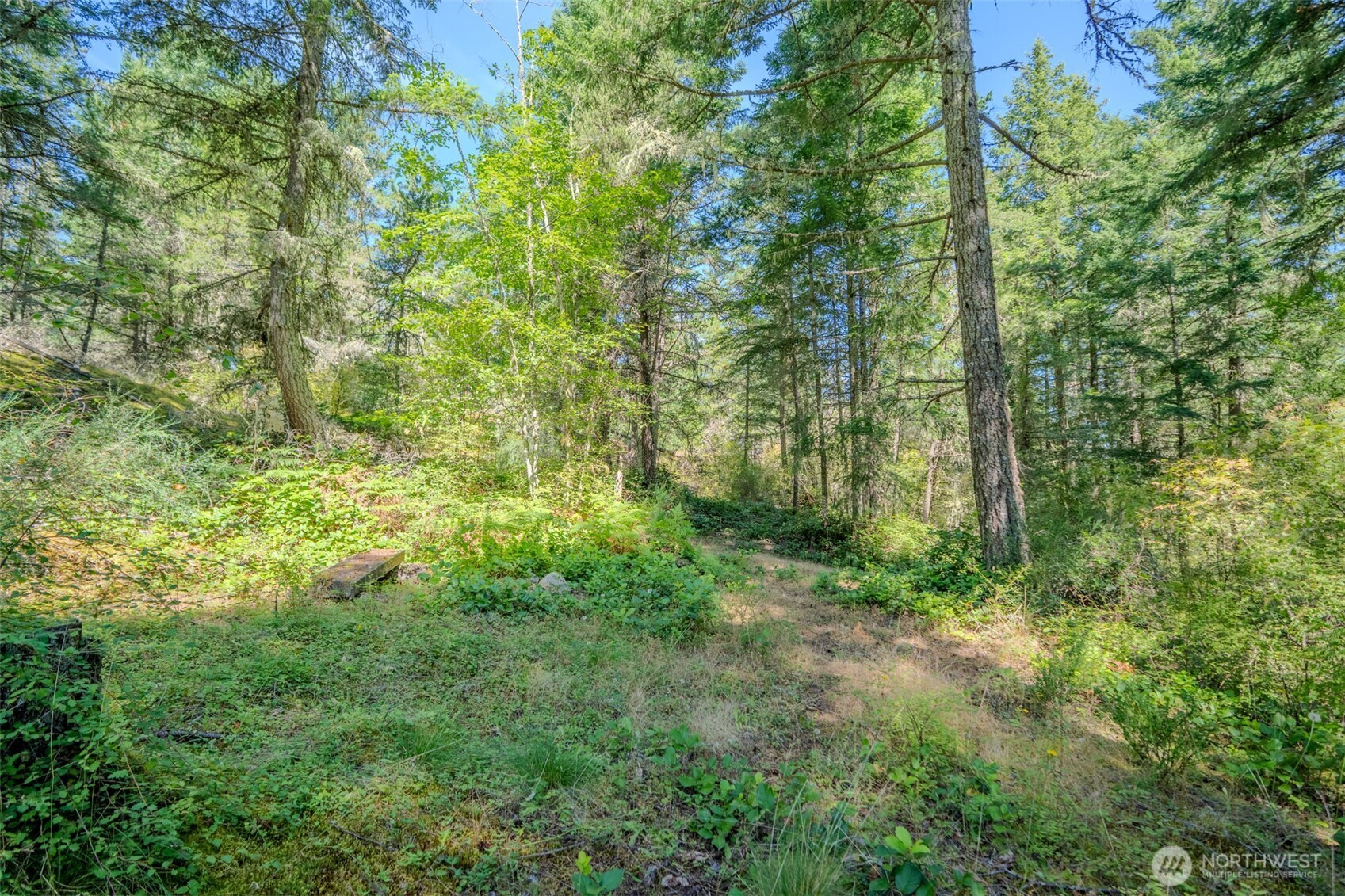 678 Swan Road Property Photo 32