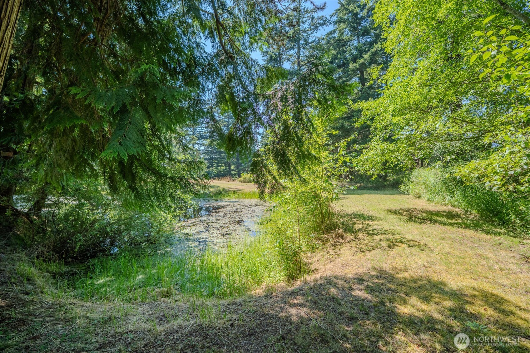 734 Swan Road Property Photo 35