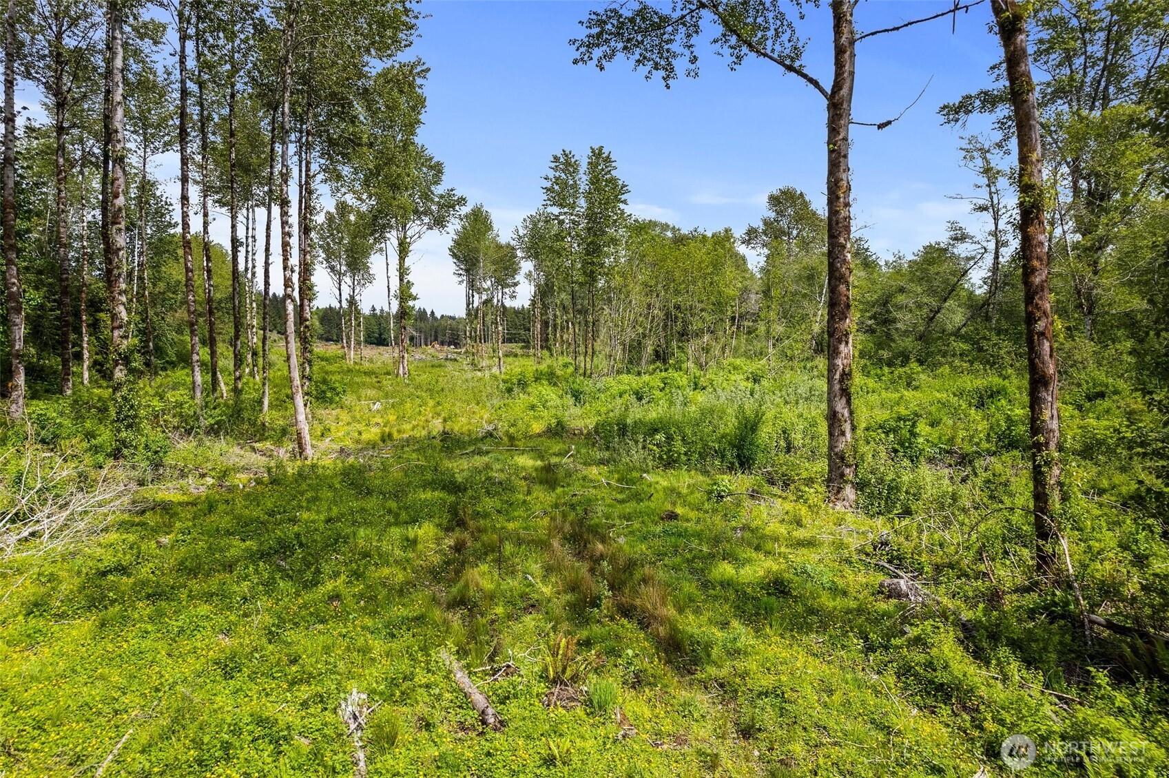 10 Joy Lane Lot 1 Property Photo 8