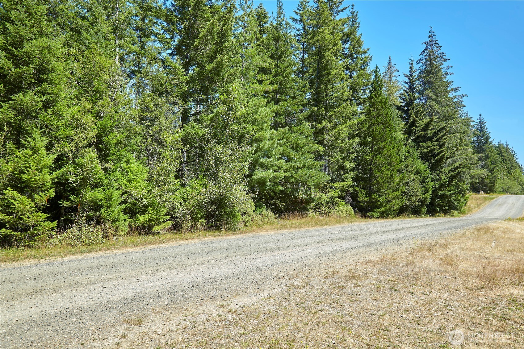 500 E Morris Creek Drive Property Photo 3