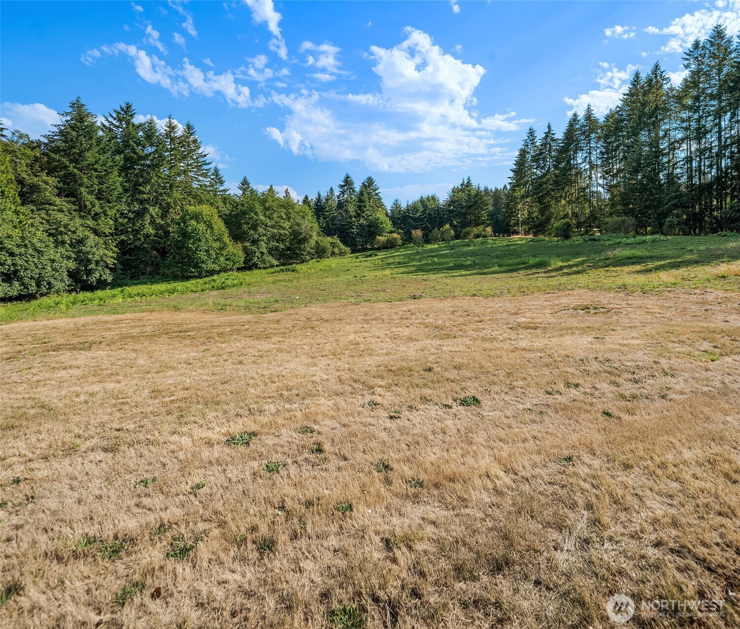 16010 109th Ave Sw Property Photo 17