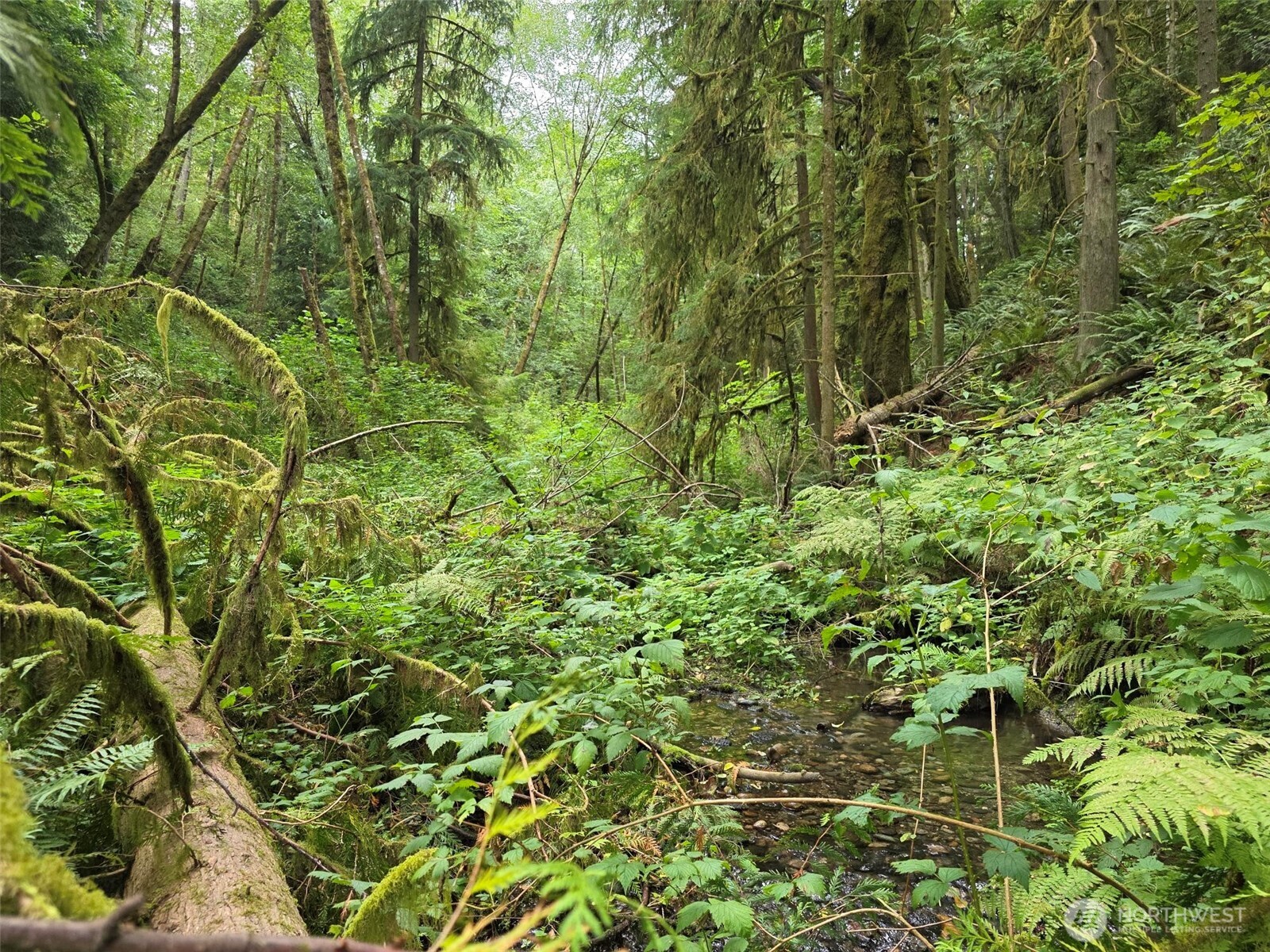 16010 109th Ave Sw Property Photo 34