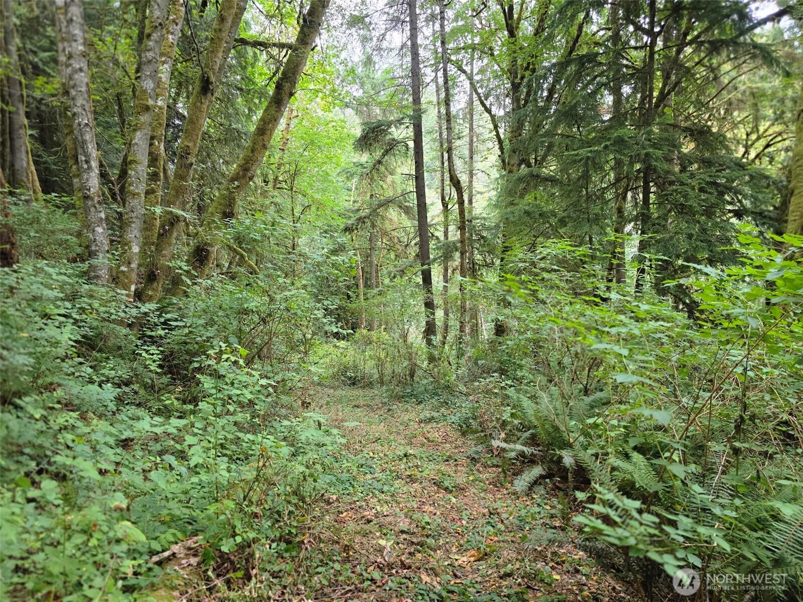 16010 109th Avenue Property Photo 25