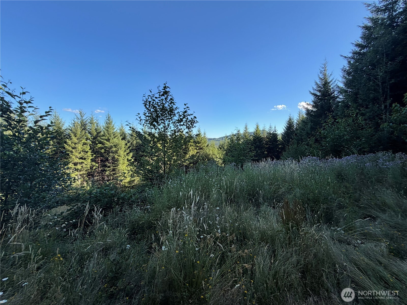 217 Ham Road Property Photo 5