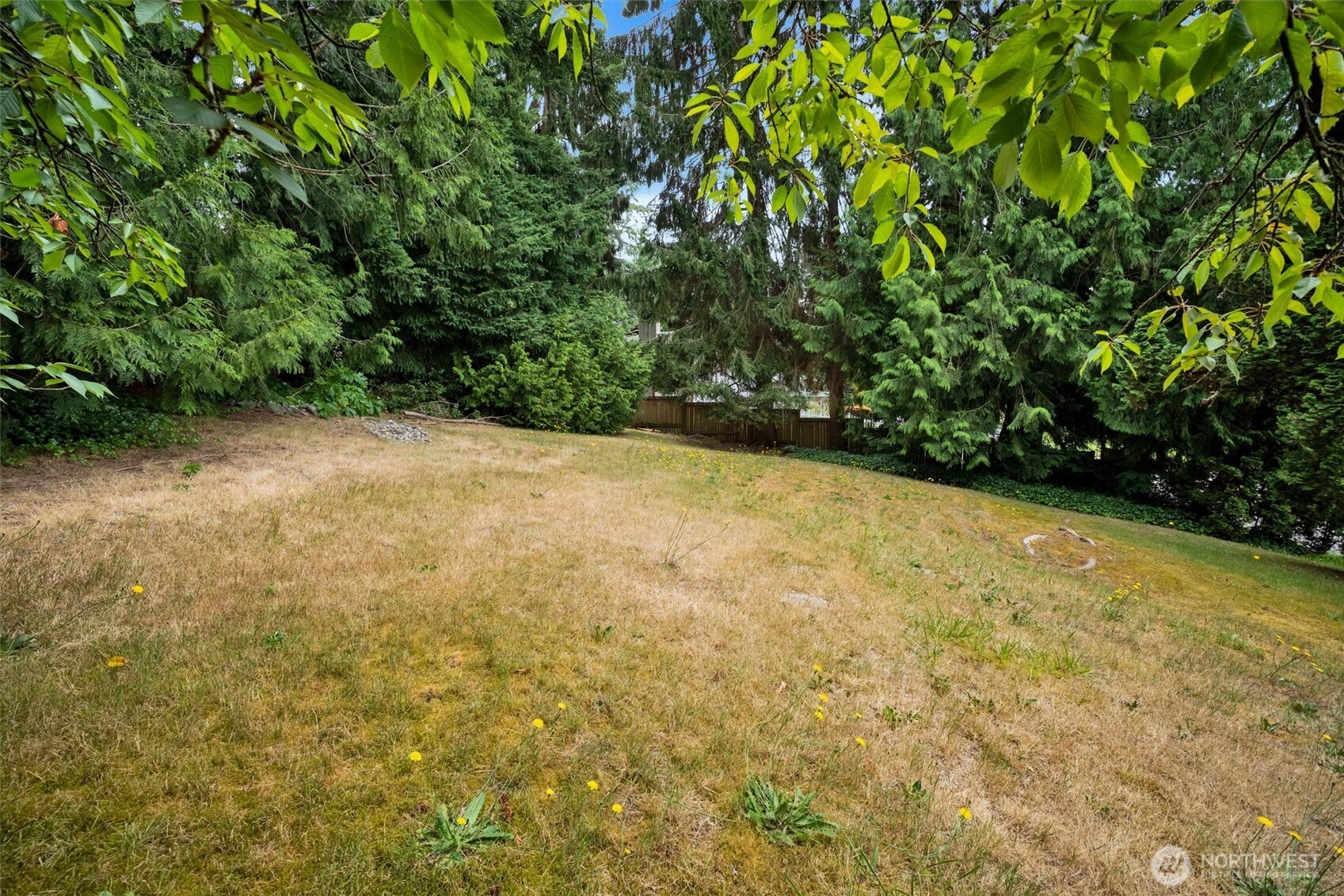 2407 Larch Way Property Photo 28
