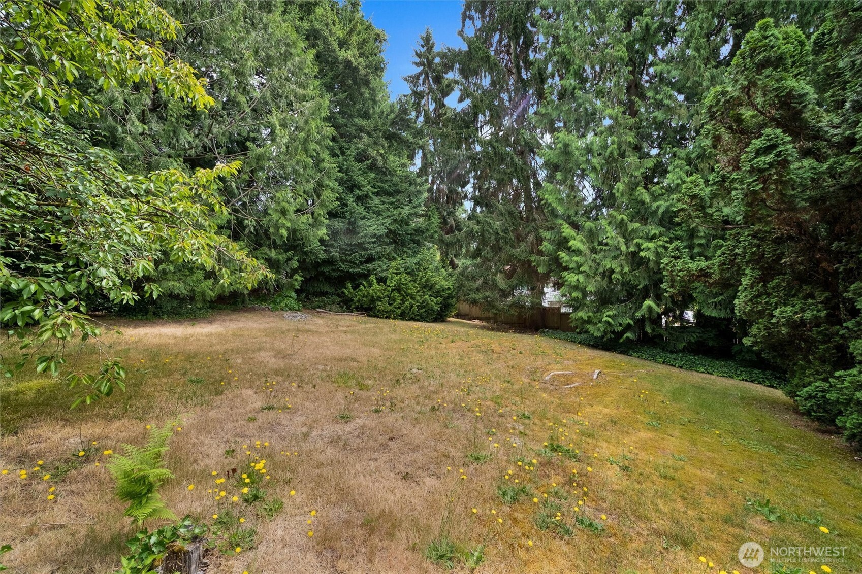 2407 Larch Way Property Photo 29