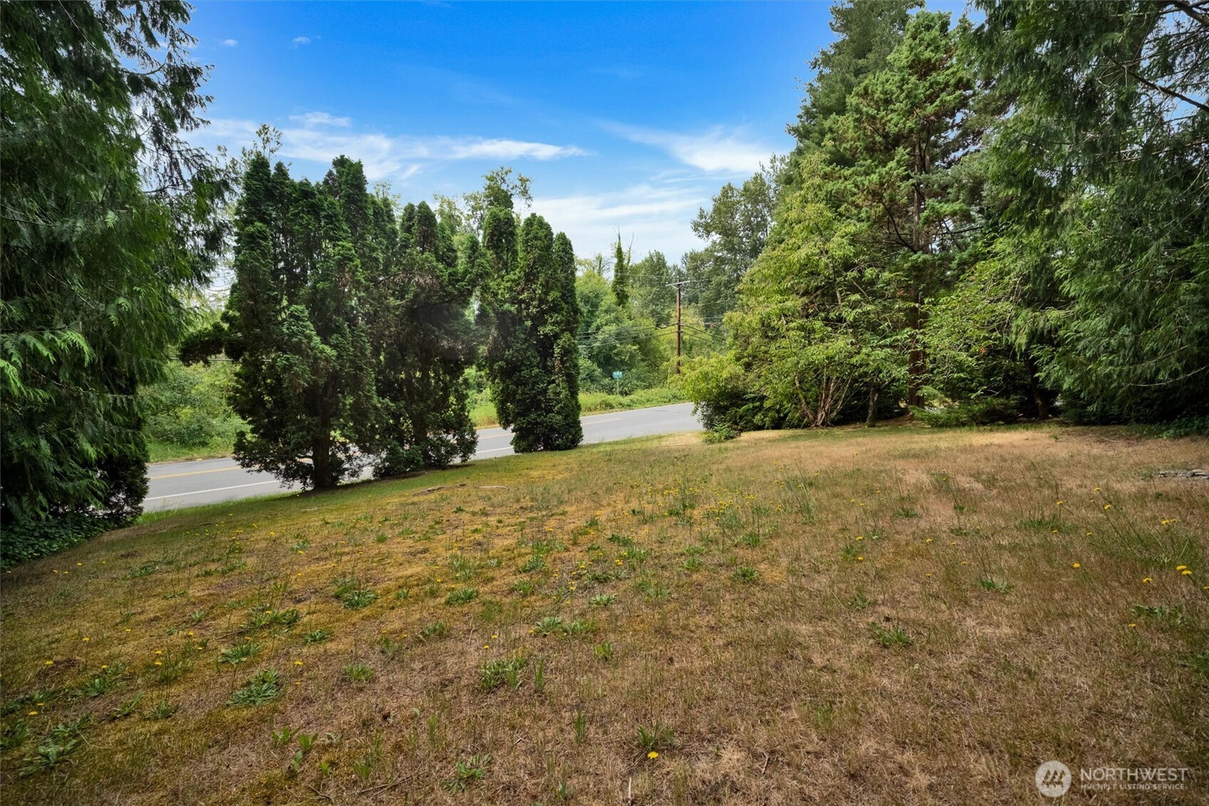 2407 Larch Way Property Photo 30