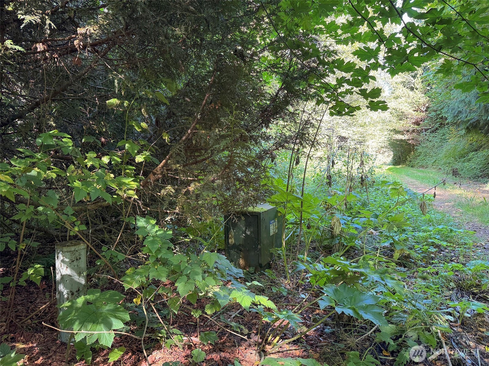 888 Farrington Road Property Photo 19