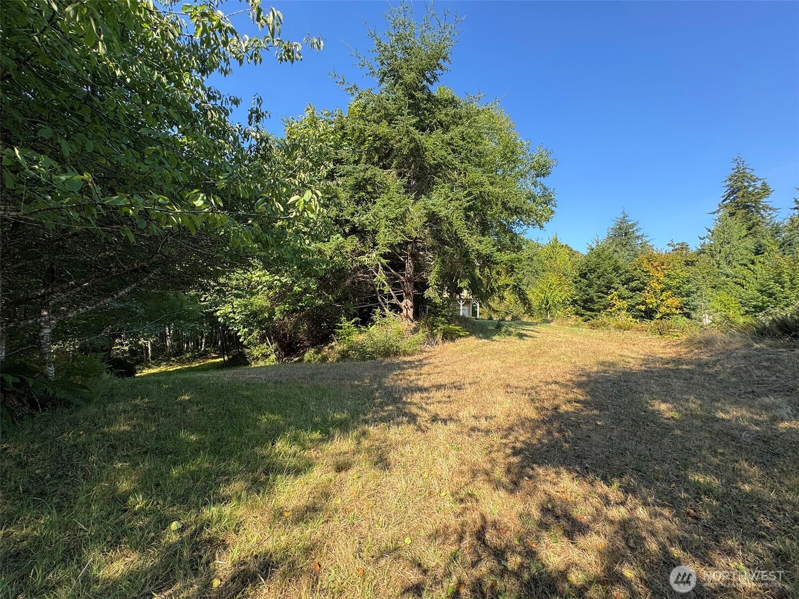 888 Farrington Road Property Photo 22