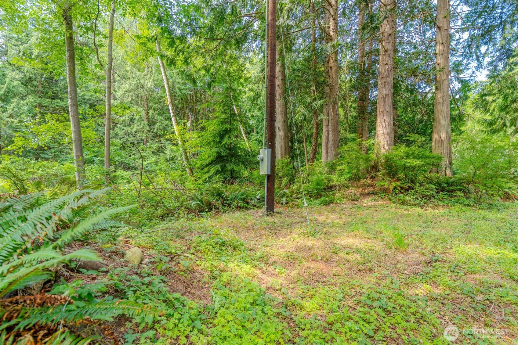 7929 S Lake Ketchum Road Property Photo 6