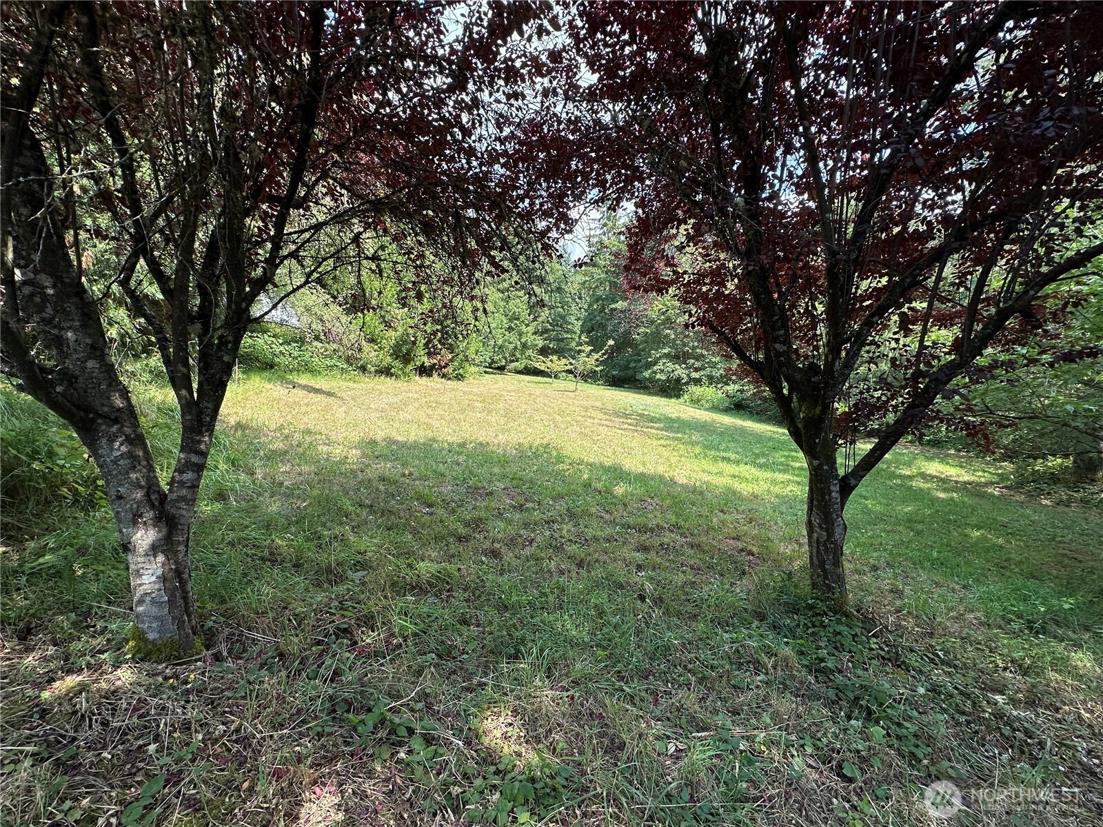 16110 Dodge Lane Property Photo 27