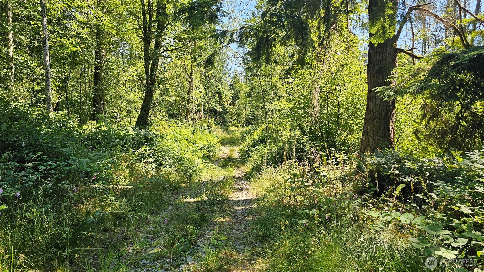 11000 138th Street Property Photo 2