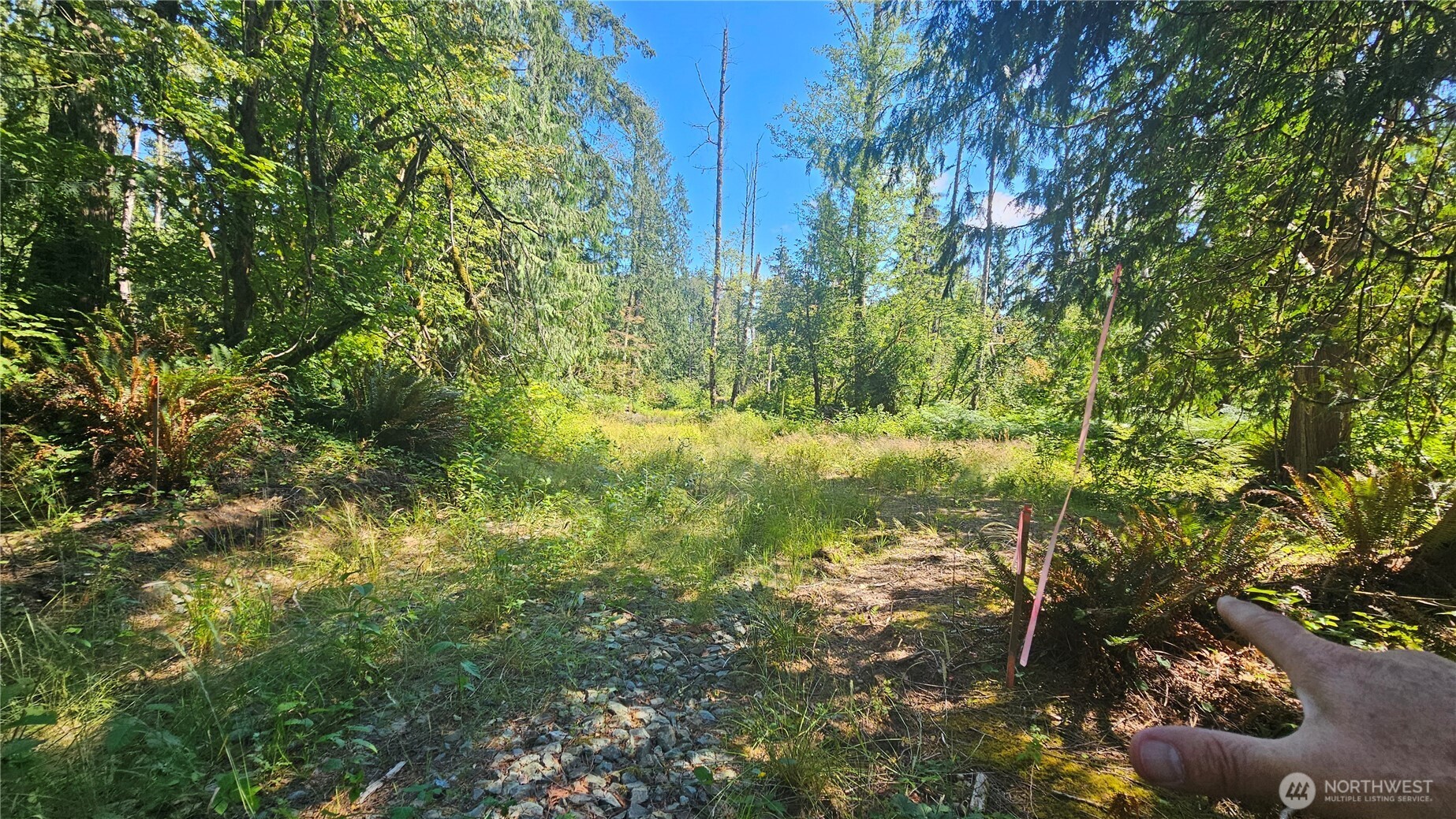 11000 138th Street Property Photo 3