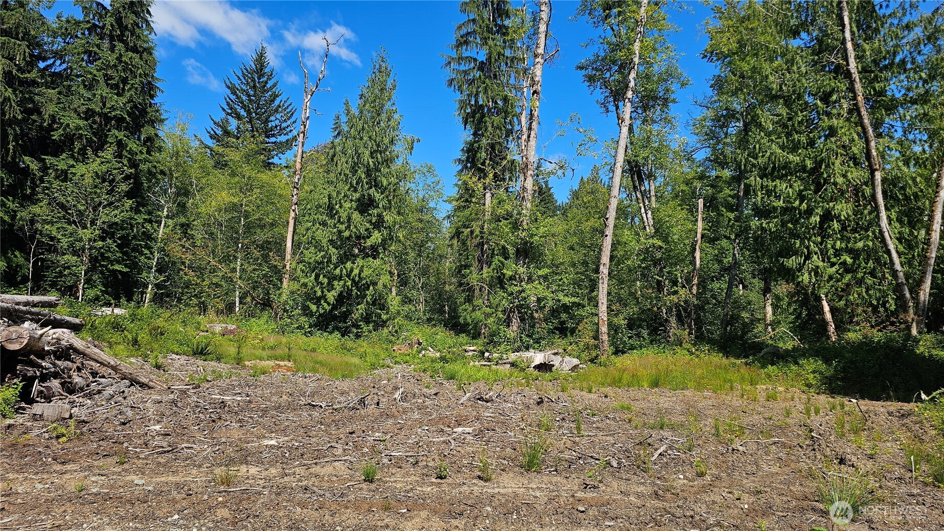 11000 138th Street Property Photo 6