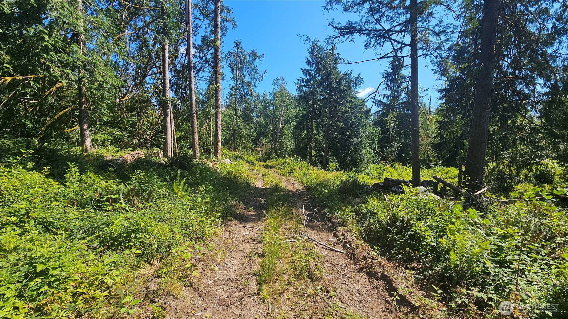 11000 138th Street Property Photo 8