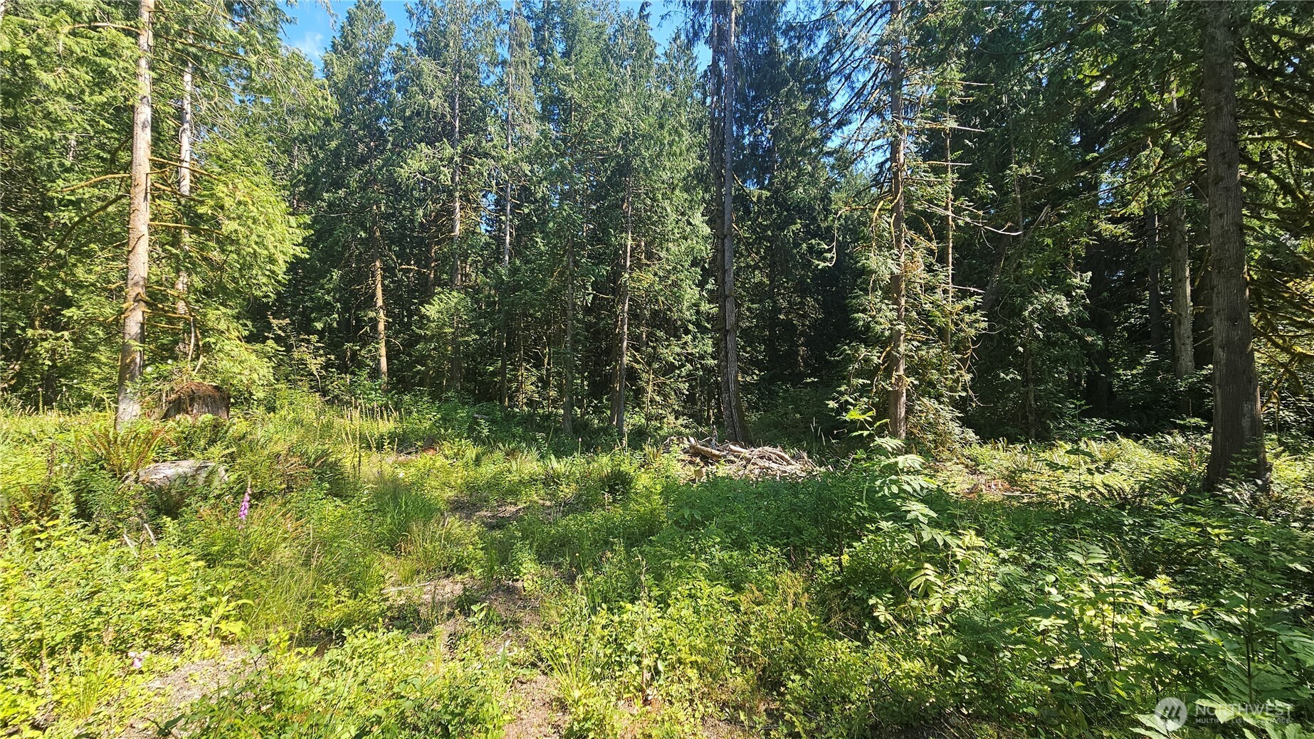 11000 138th Street Property Photo 11