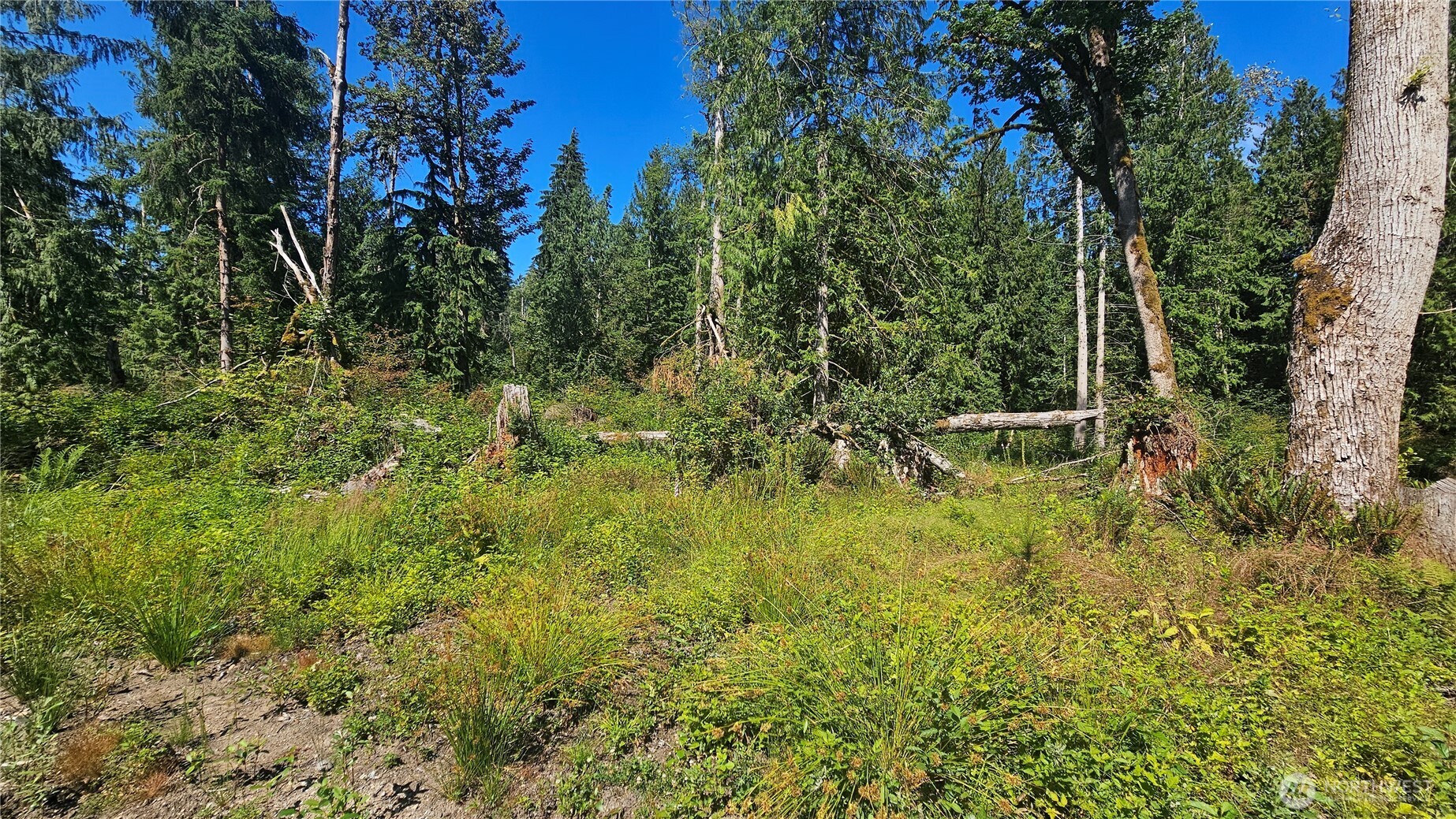 11000 138th Street Property Photo 14