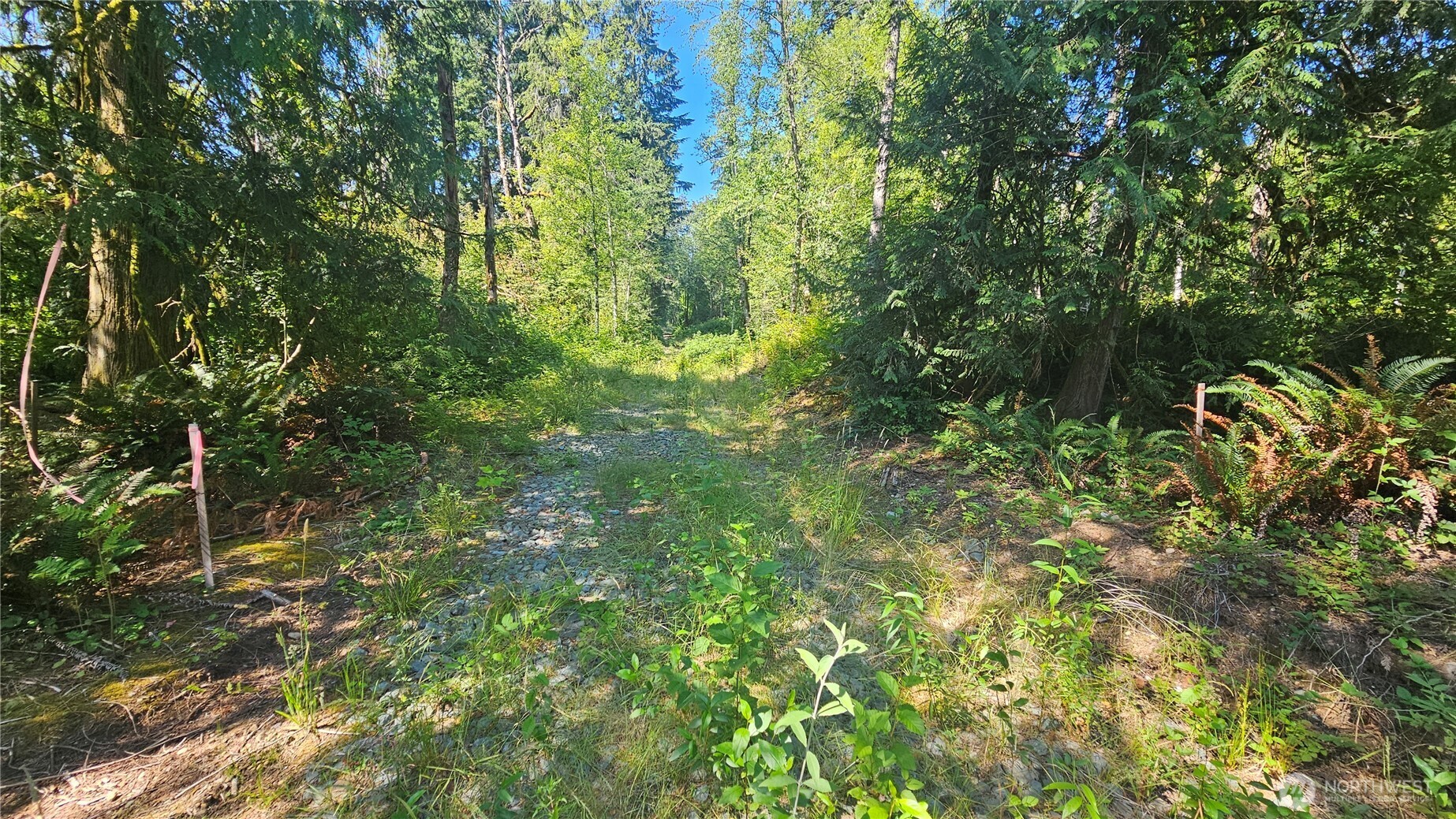 11000 138th Street Property Photo 18
