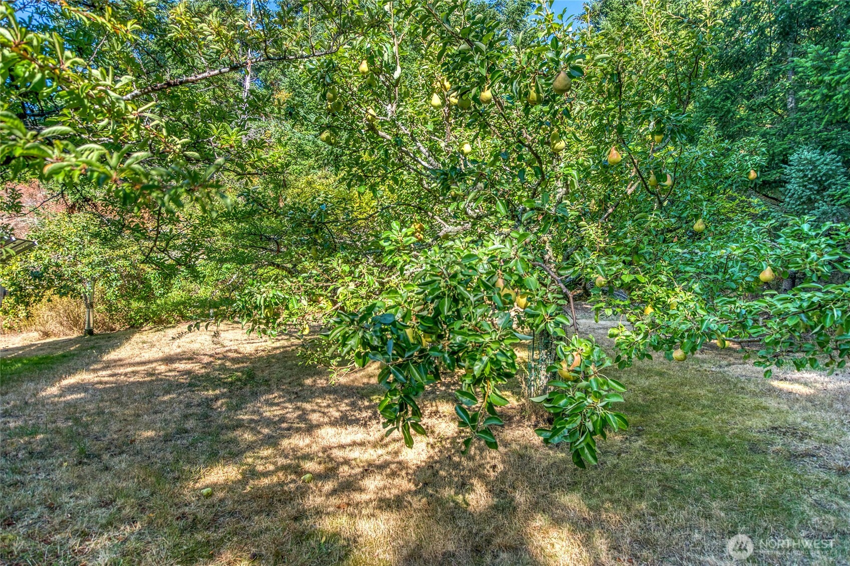 404 Lookout Loop Property Photo 30