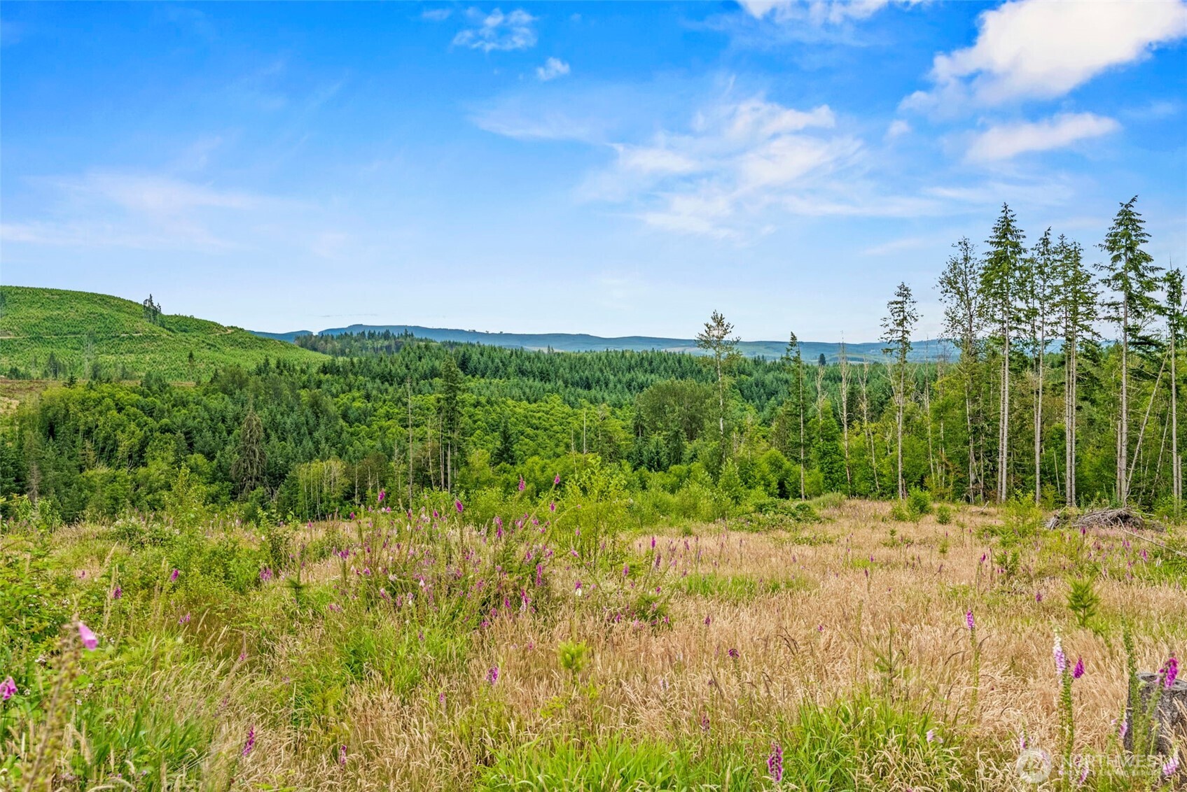 6 Lot 6 Parker Road Property Photo 4