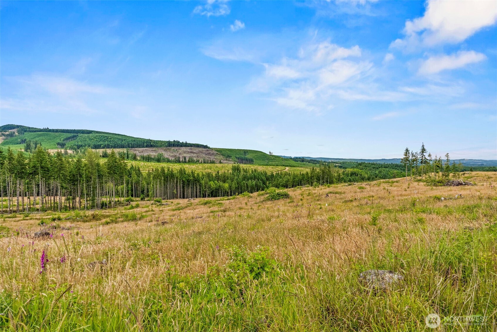 2 Lot 2 Parker Road Property Photo 4