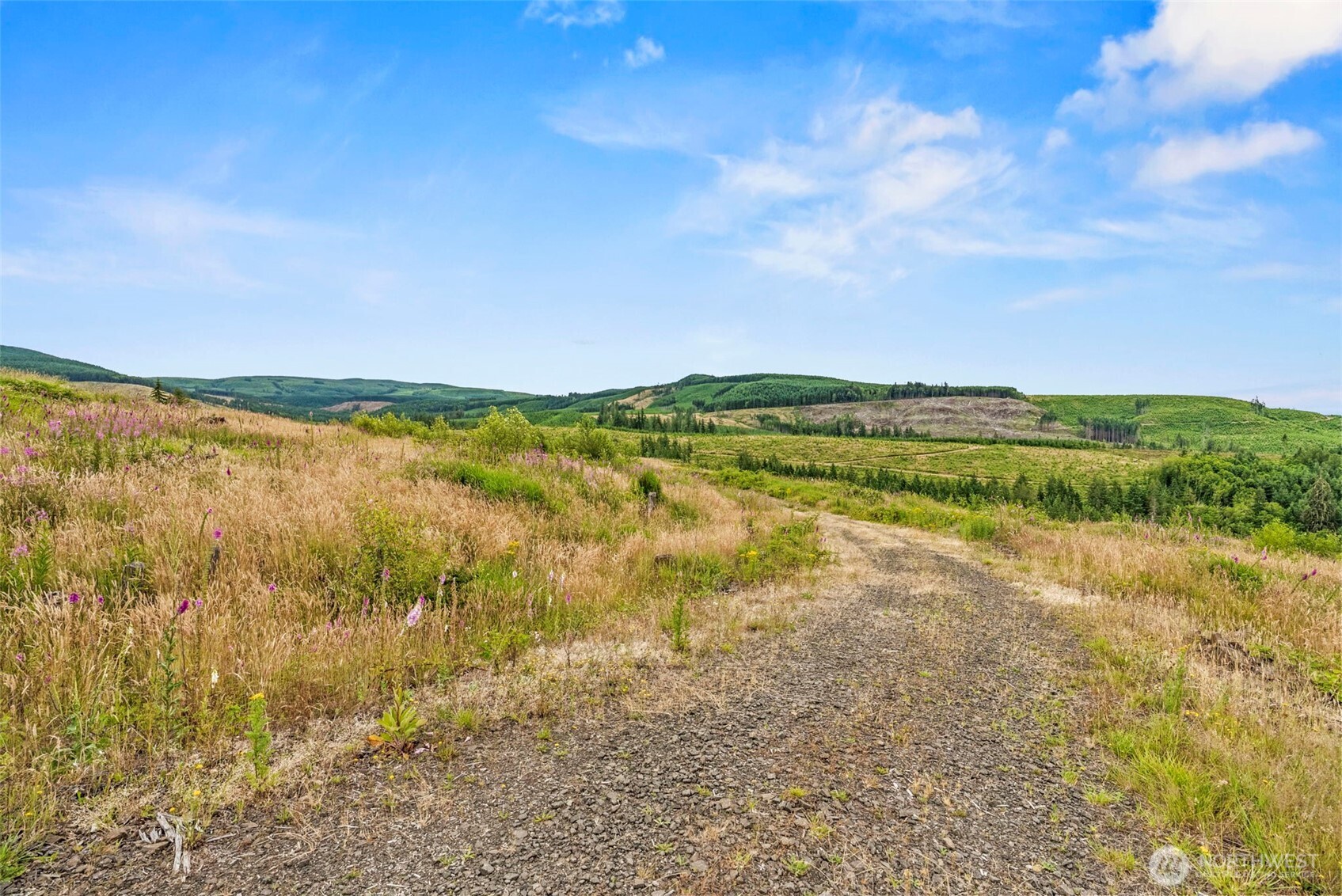 1 Lot 1 Parker Road Property Photo 4