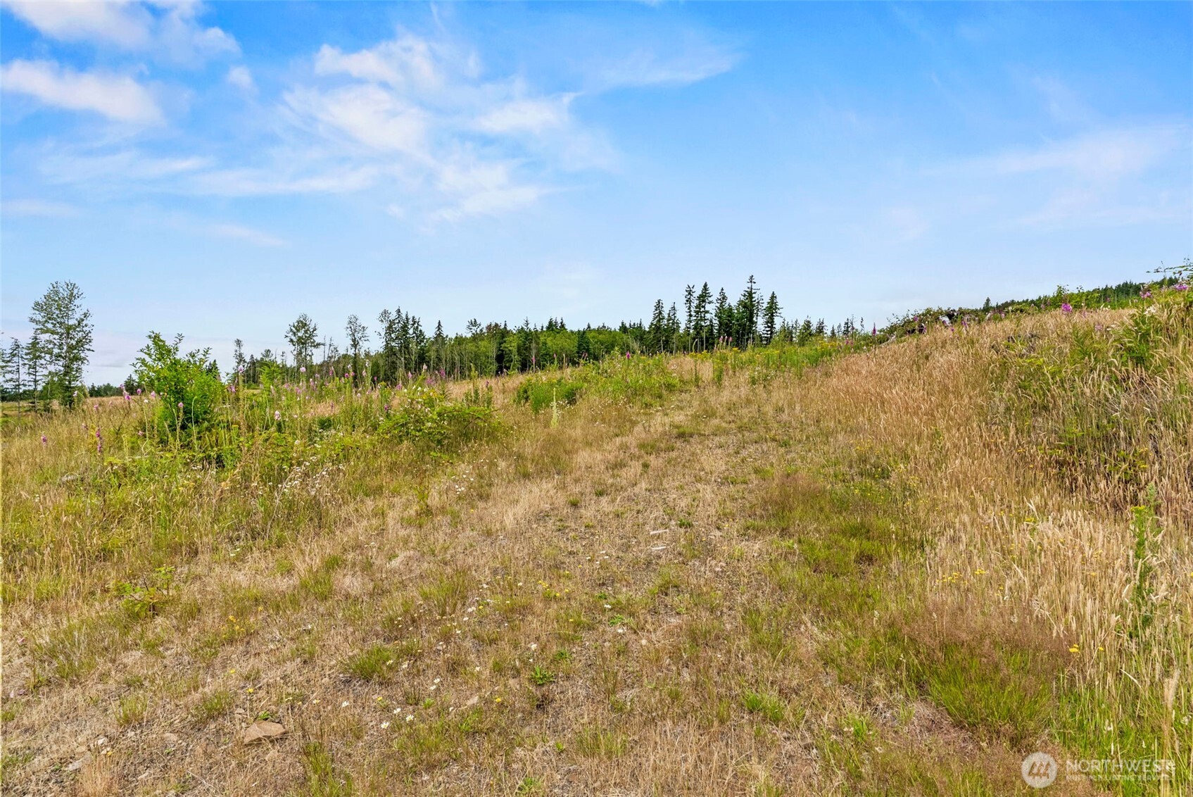 1 Lot 1 Parker Road Property Photo 5