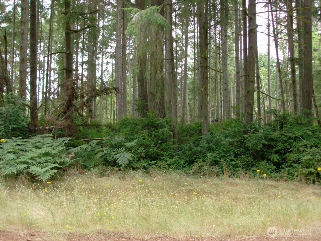 10810 Madrona Drive Property Photo 1