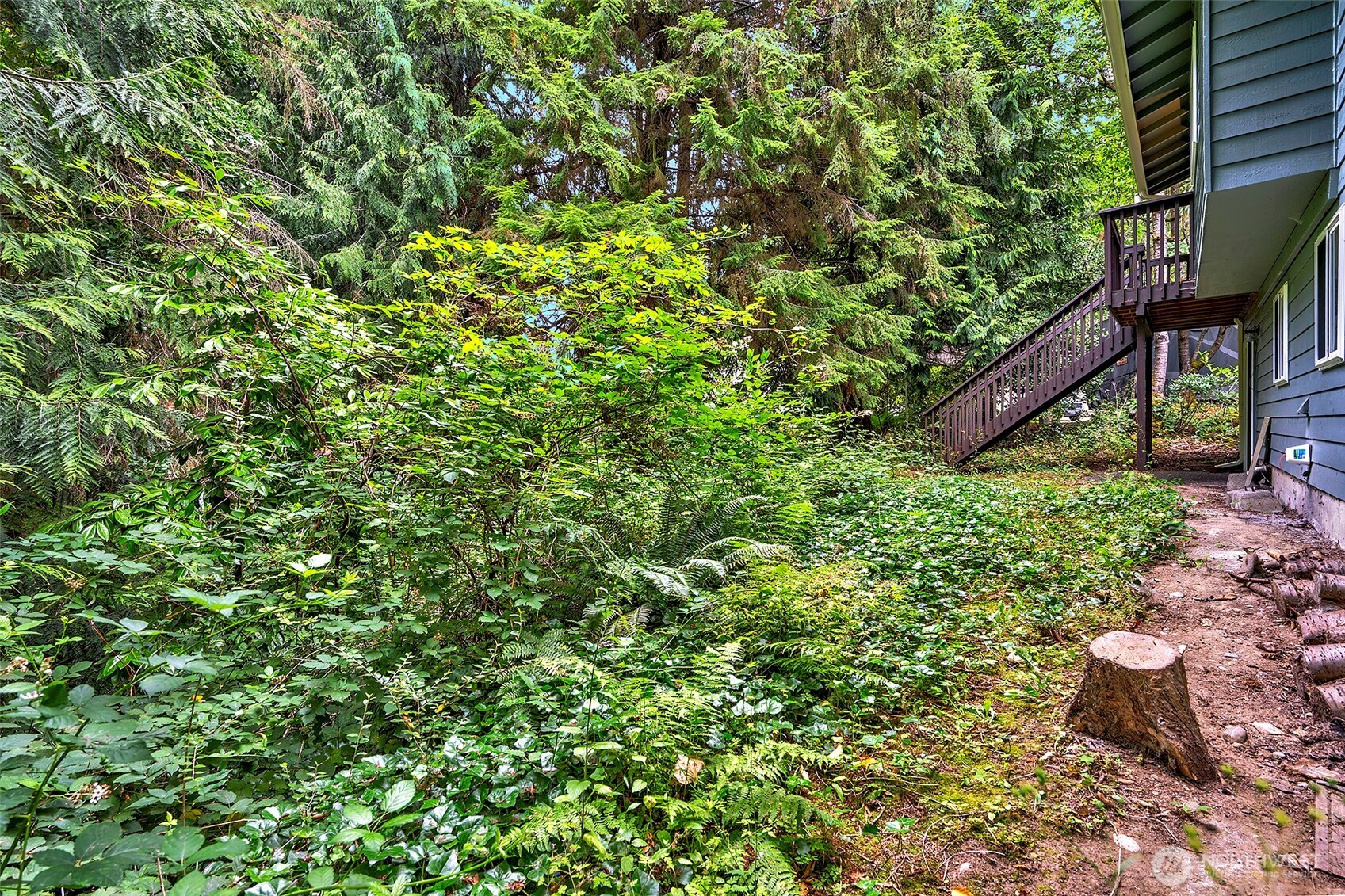 5927 147 Street Property Photo 5