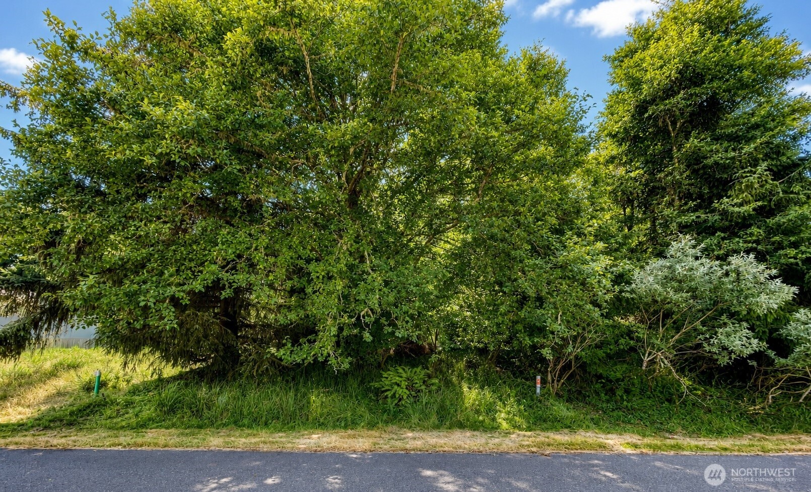163 Olympic View Avenue Property Photo 2