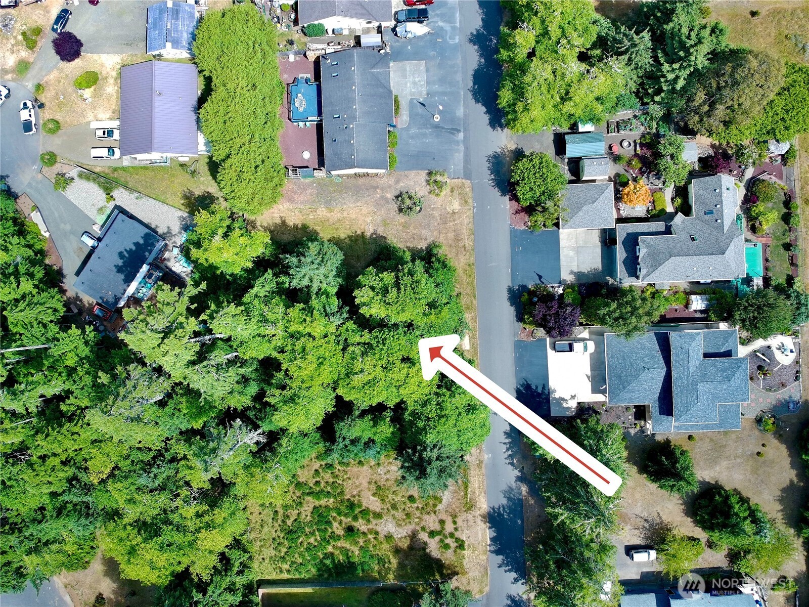 163 Olympic View Avenue Property Photo 3