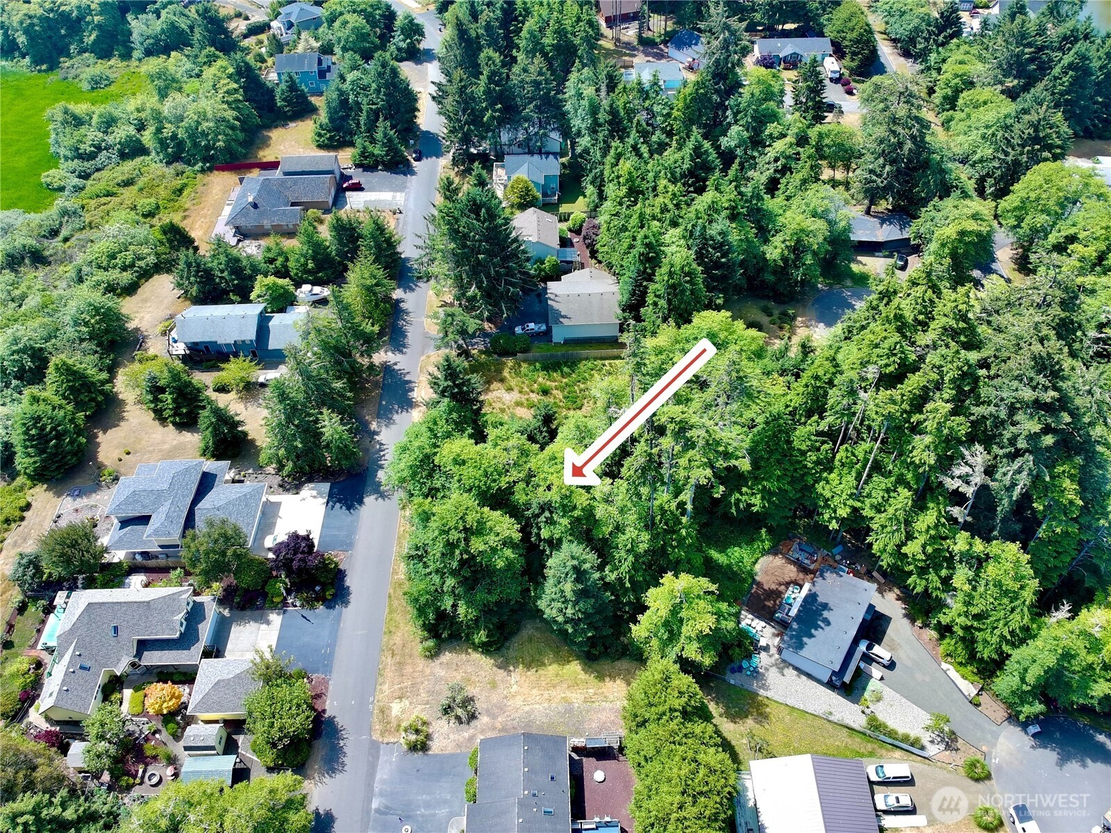 163 Olympic View Avenue Property Photo 6