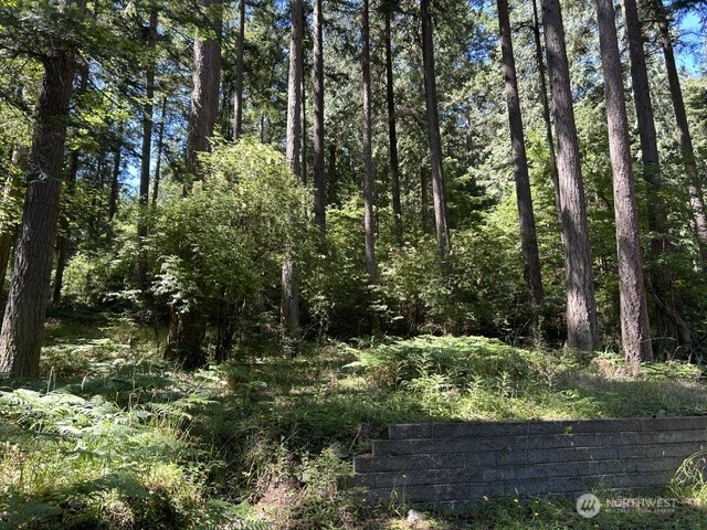 0 Captain Leison Lane Property Photo 6