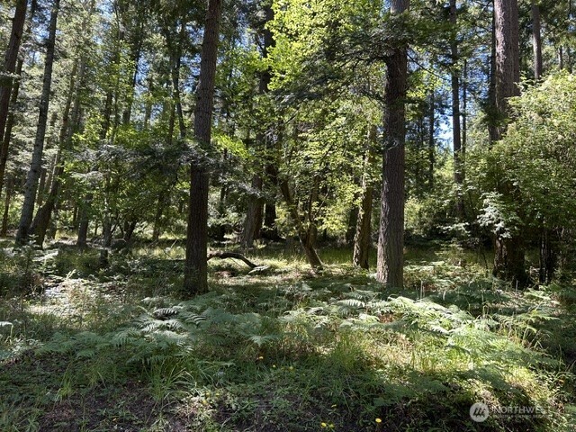 0 Captain Leison Lane Property Photo 7