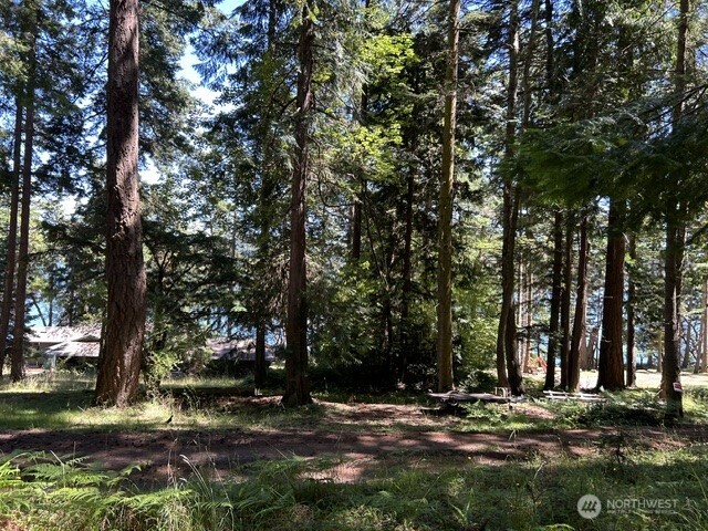 0 Captain Leison Lane Property Photo 8