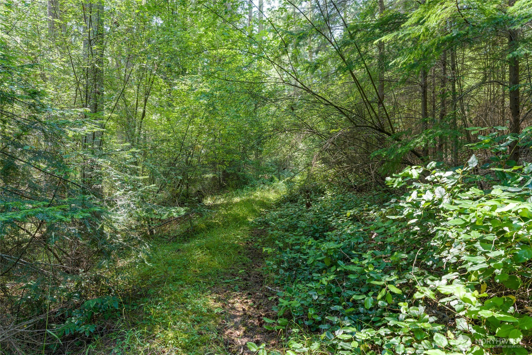 0 Captain Leison Lane Property Photo 9