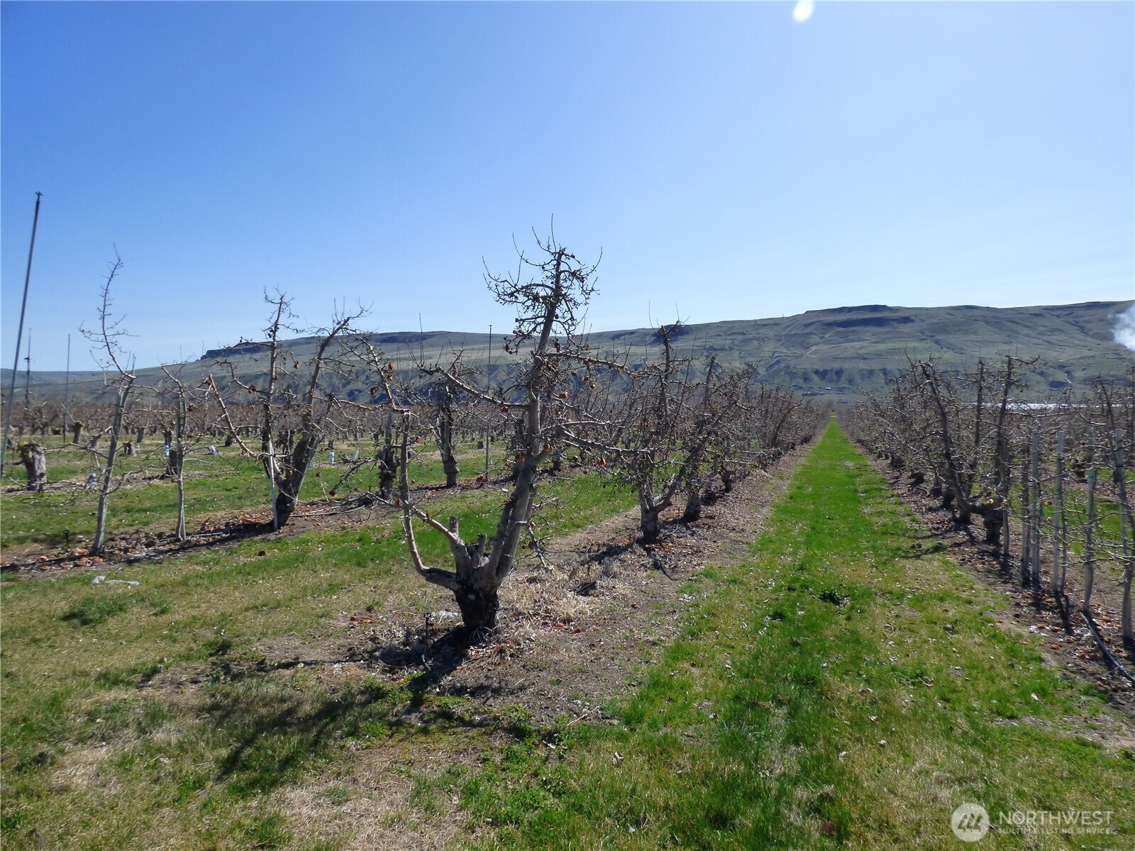 618 Jack Wells Road Property Photo 14