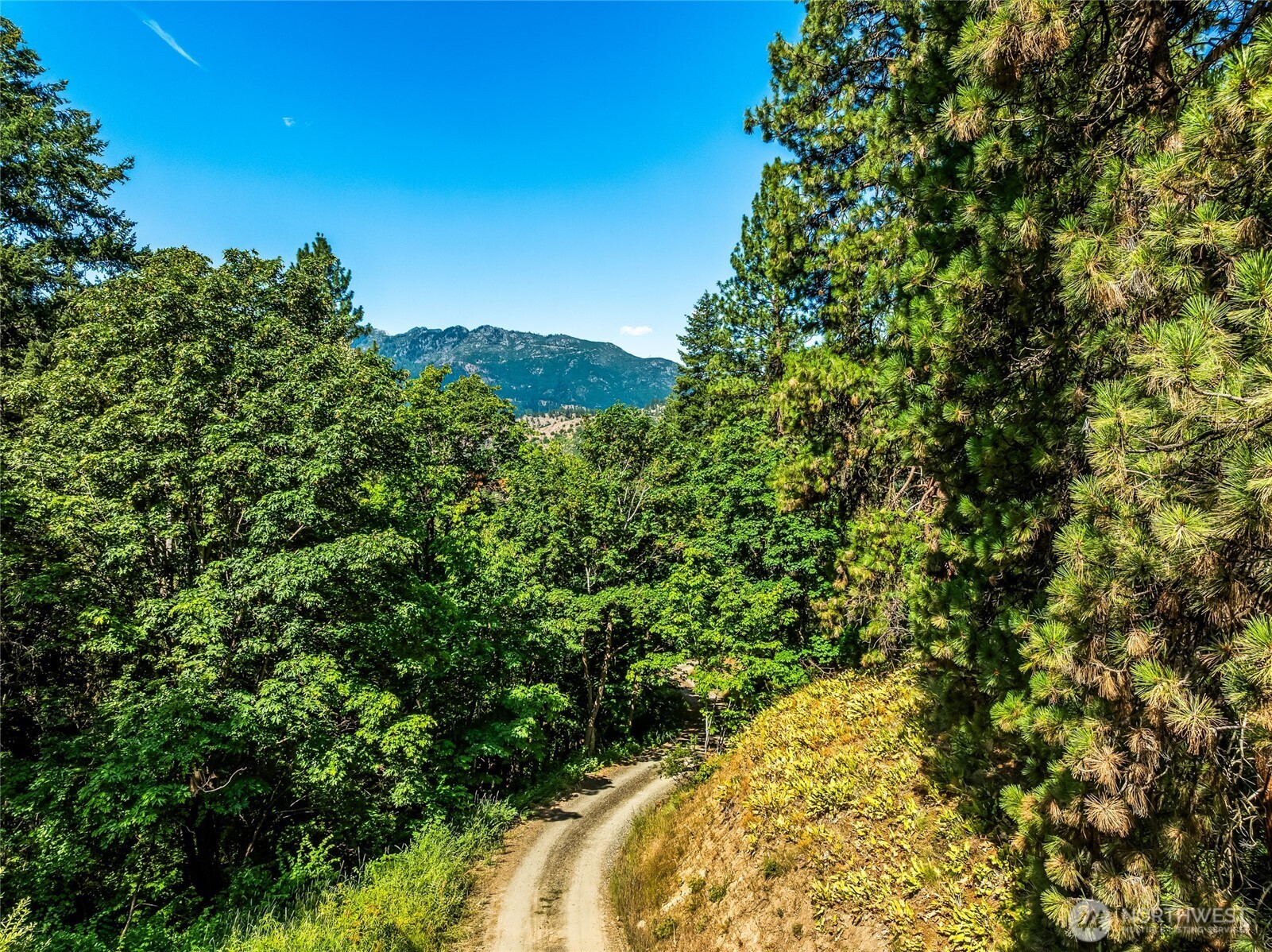 6211 Us-97 Highway Property Photo 3