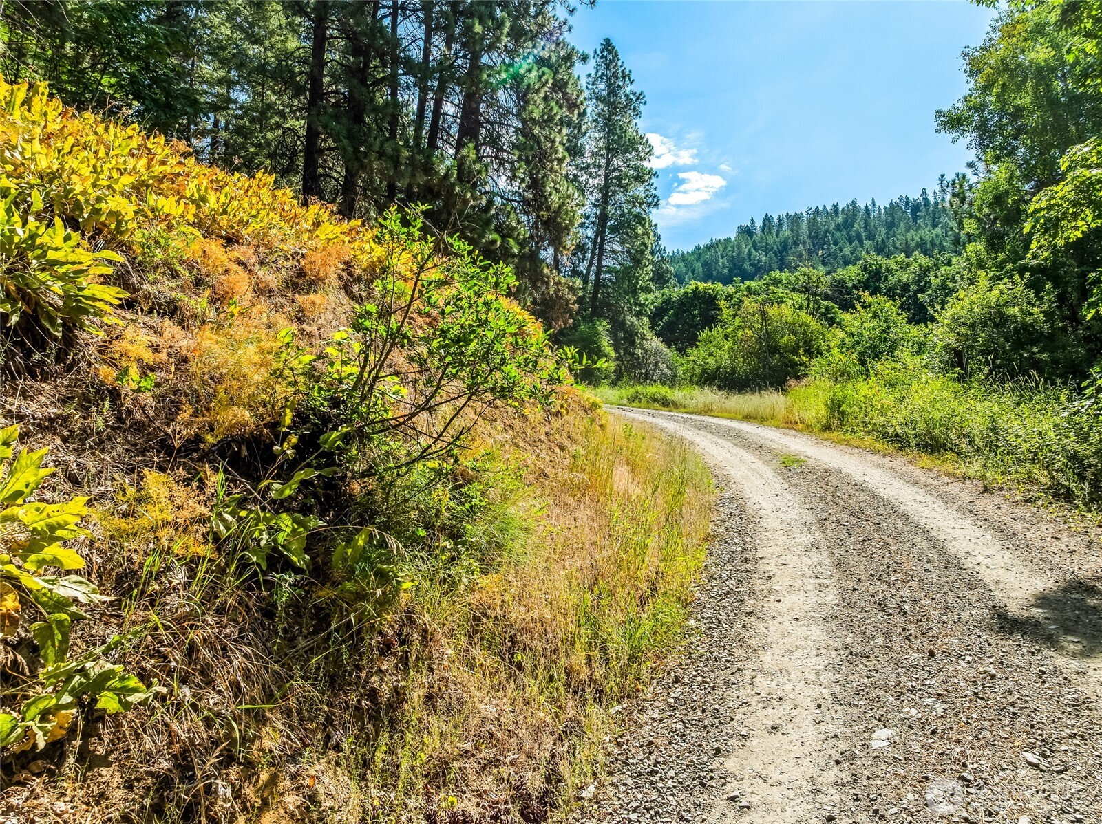 6211 Us-97 Highway Property Photo 4