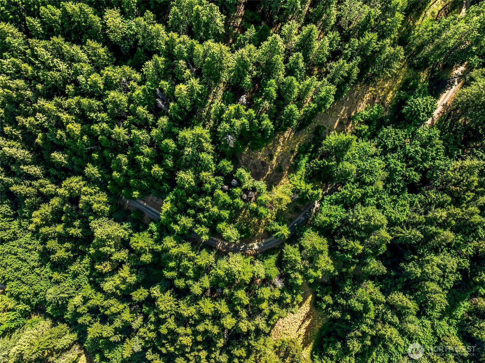 6211 Us-97 Highway Property Photo 17