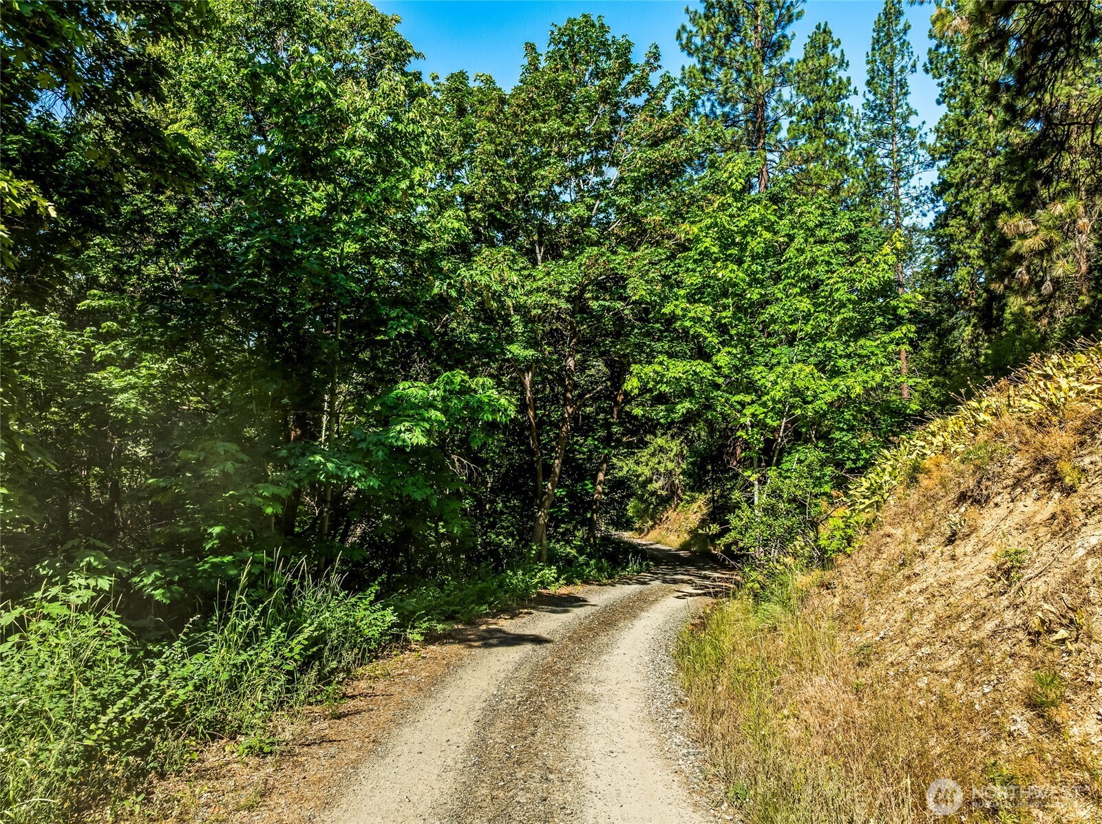 6211 Us-97 Highway Property Photo 19