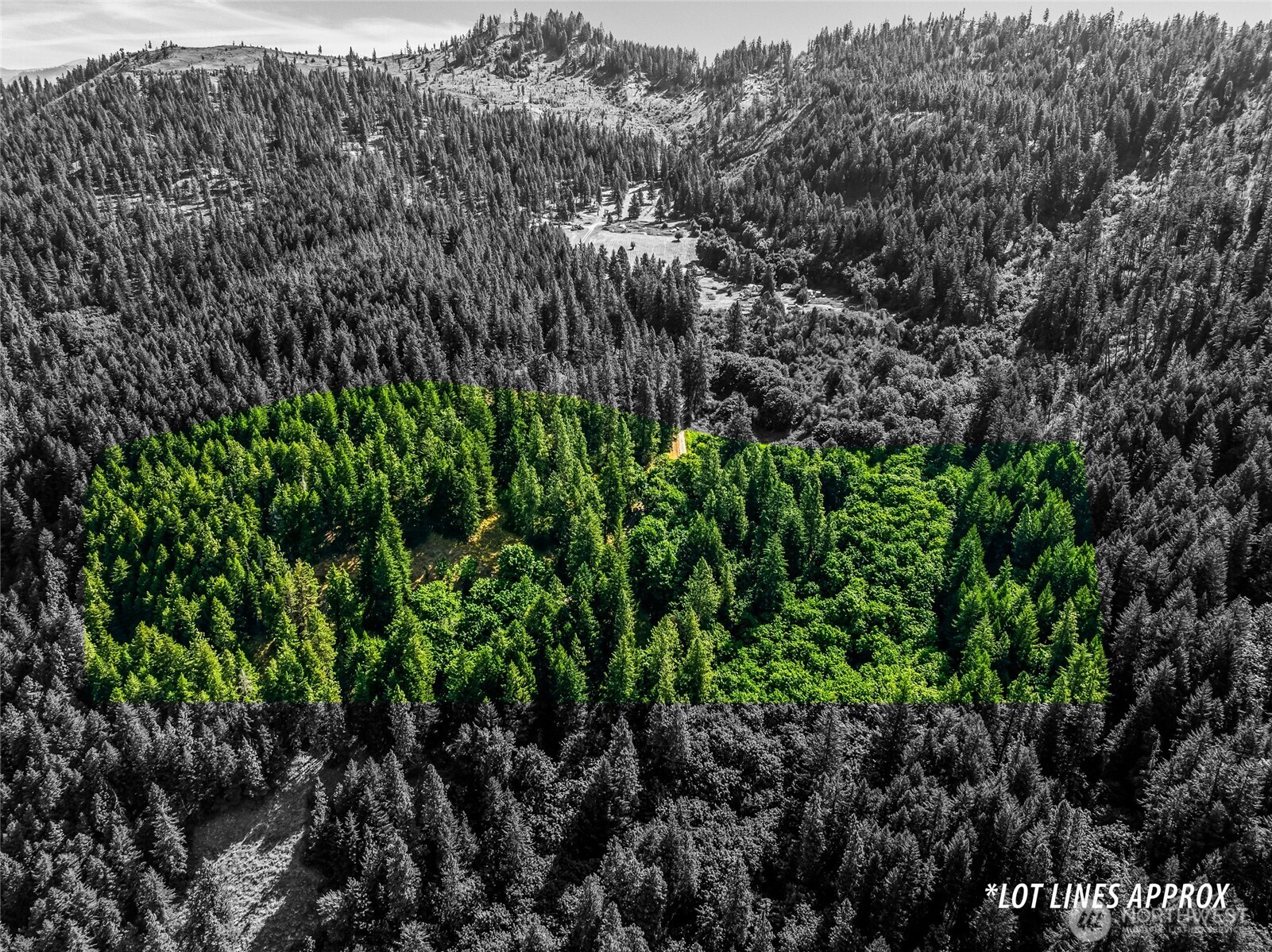 6211 Us-97 Highway Property Photo 22