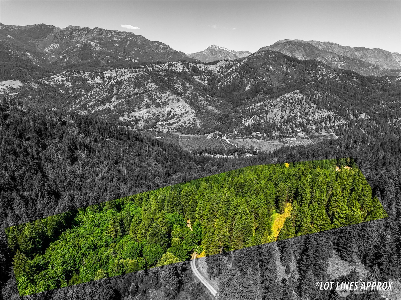 6211 Us-97 Highway Property Photo 23