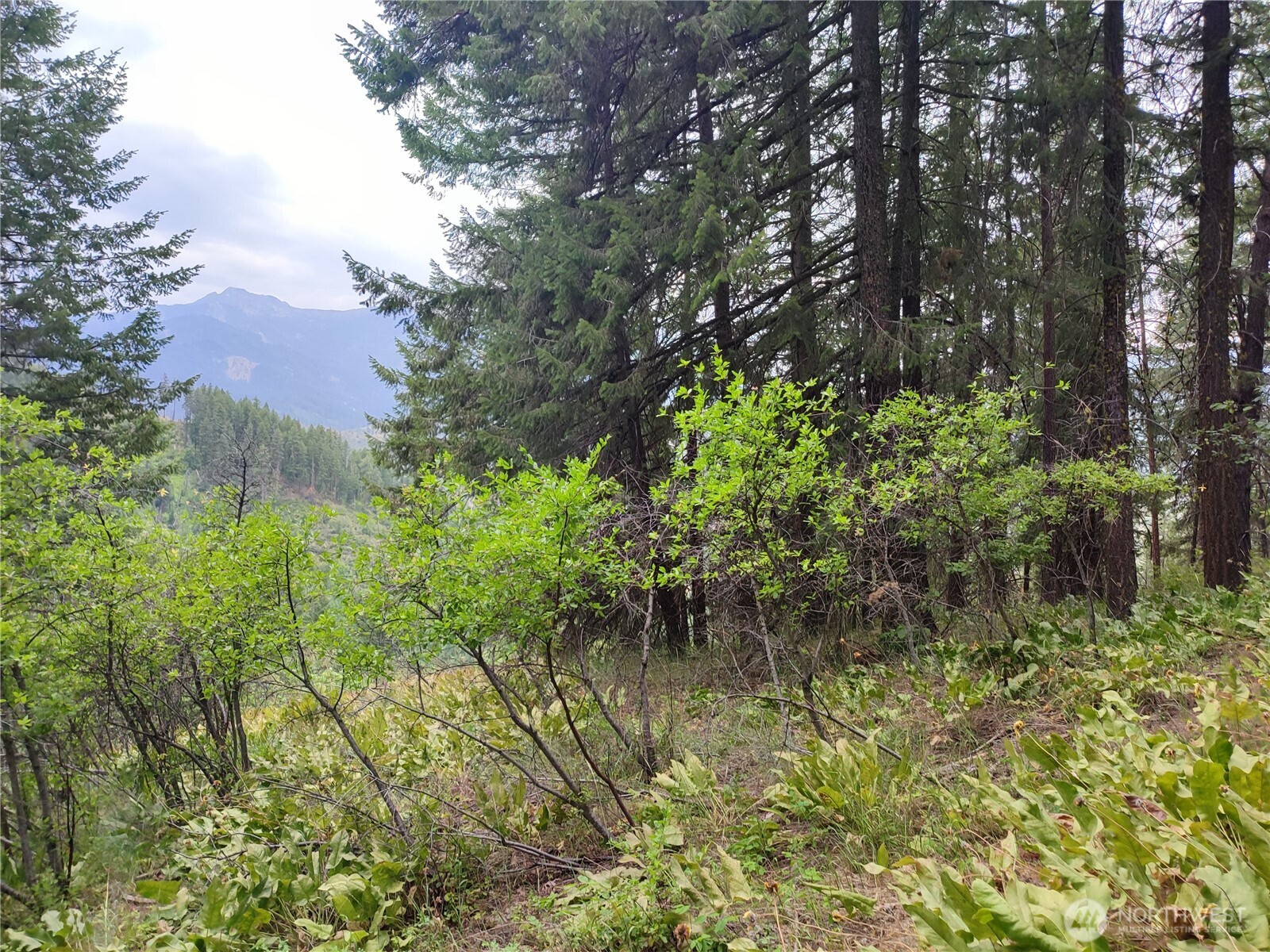 6211 Us-97 Highway Property Photo 25