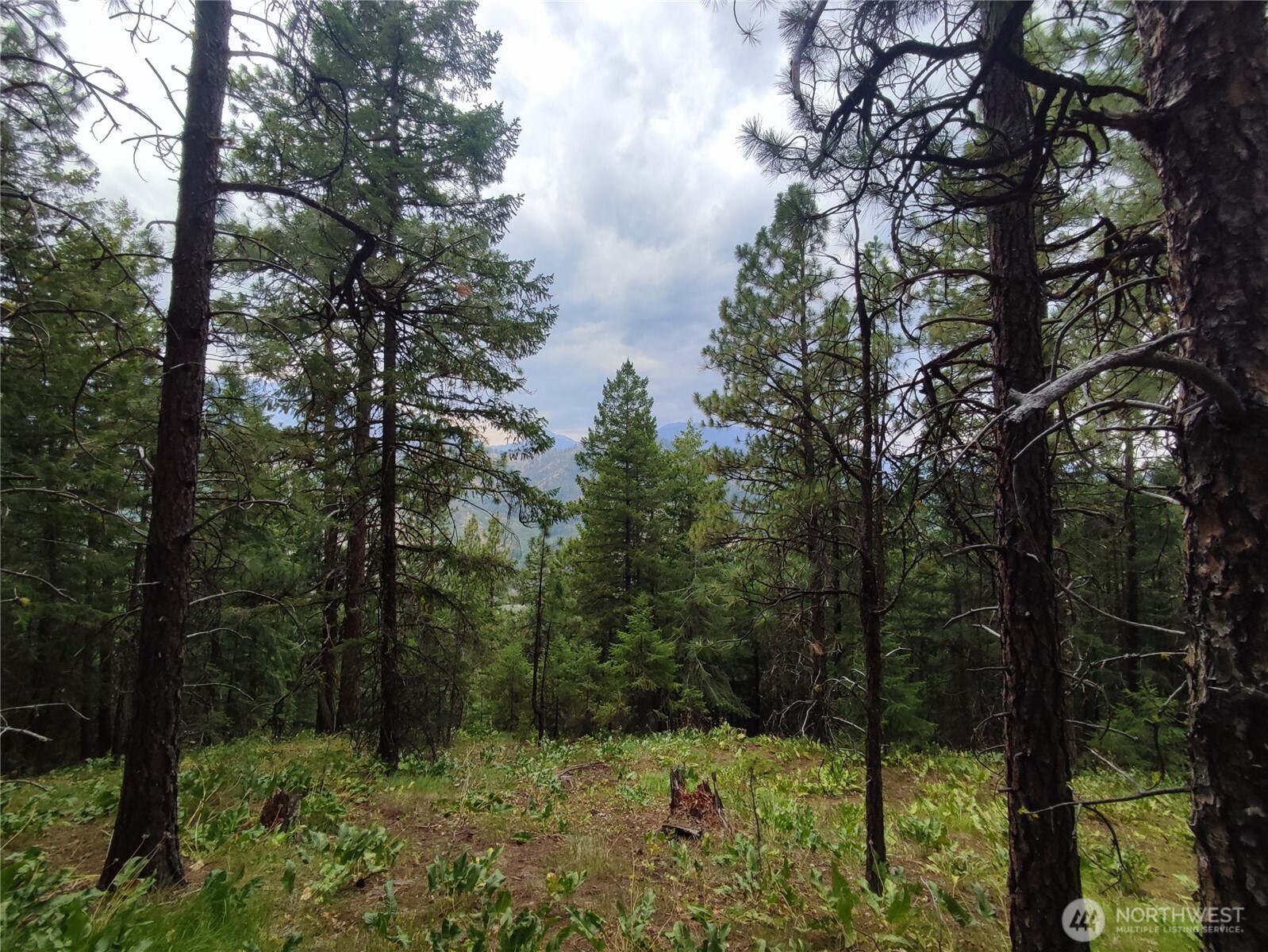 6211 Us-97 Highway Property Photo 26