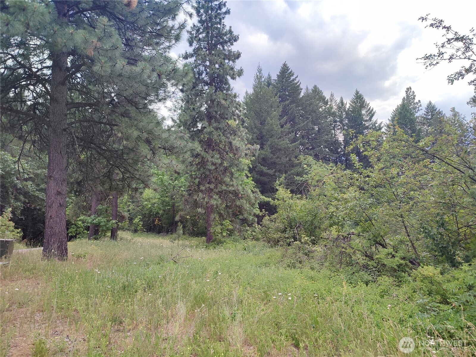 6211 Us-97 Highway Property Photo 29