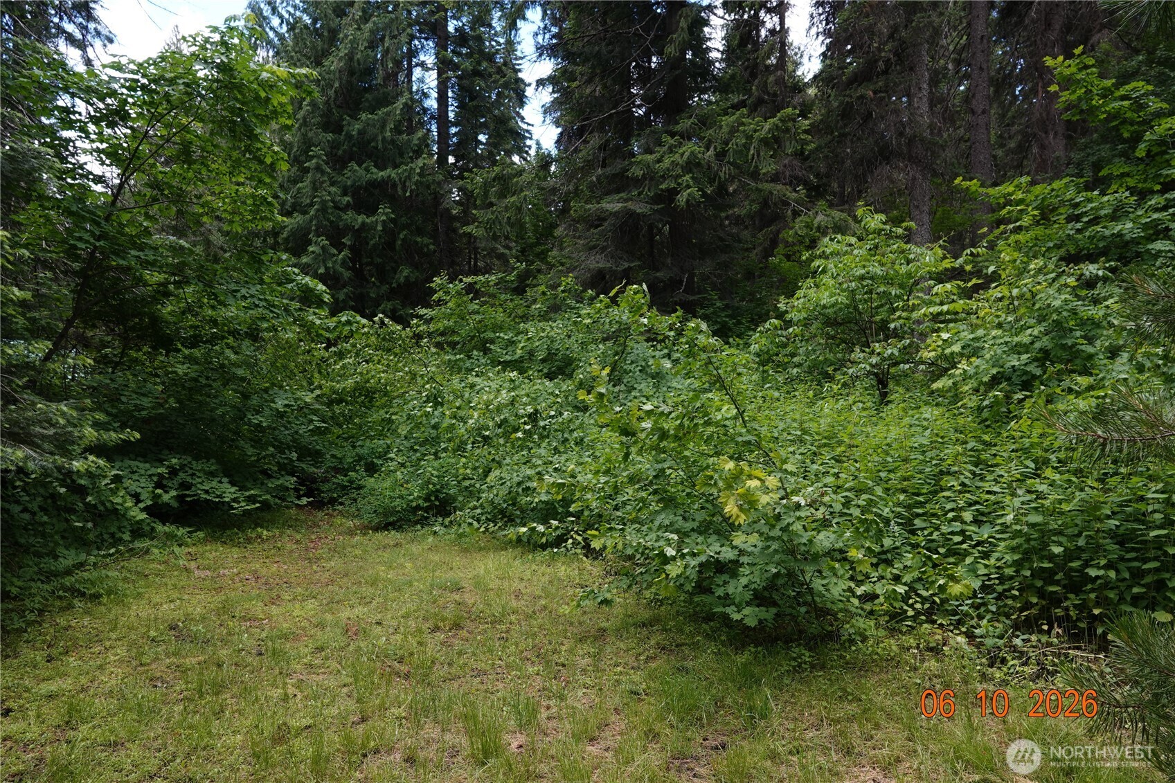 27849 Napeequa Drive Property Photo 9