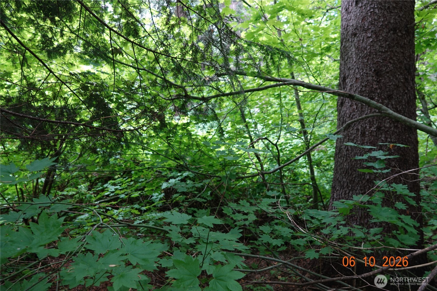 27849 Napeequa Drive Property Photo 12