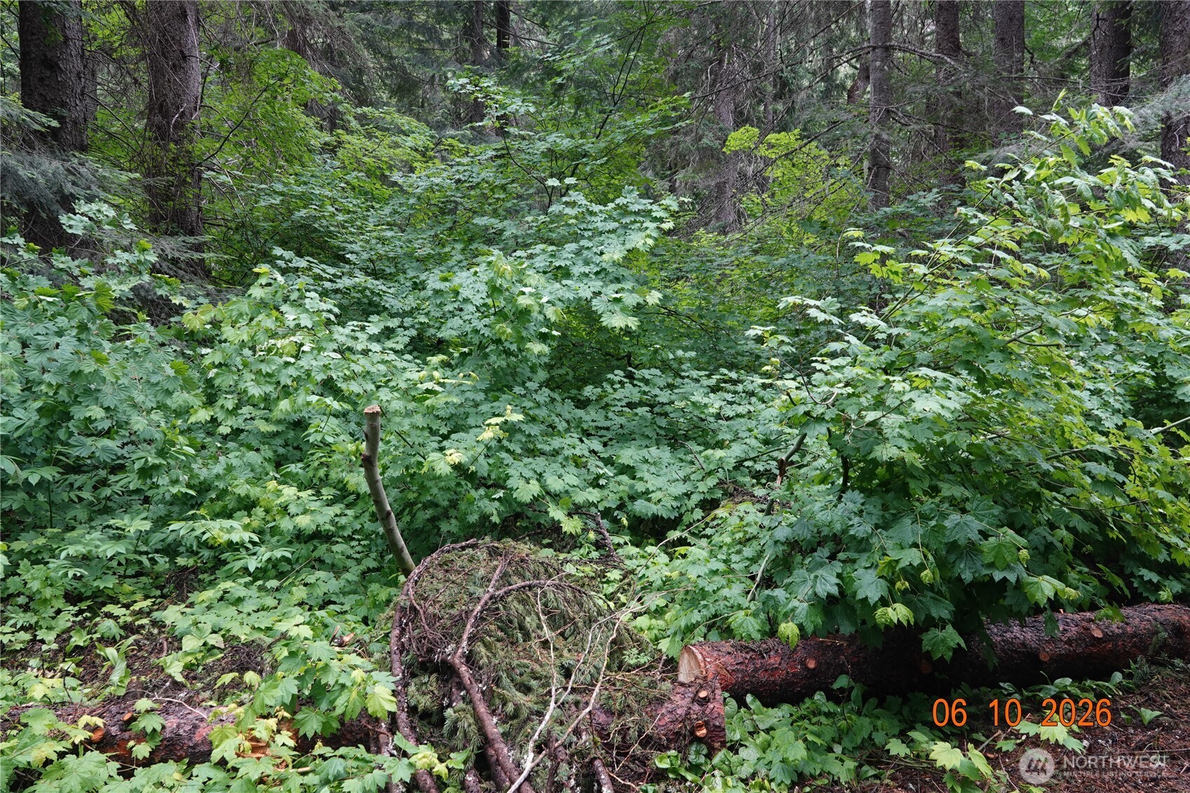 27849 Napeequa Drive Property Photo 13
